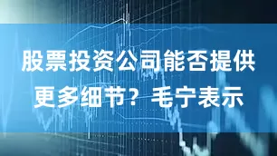 股票投资公司能否提供更多细节？毛宁表示