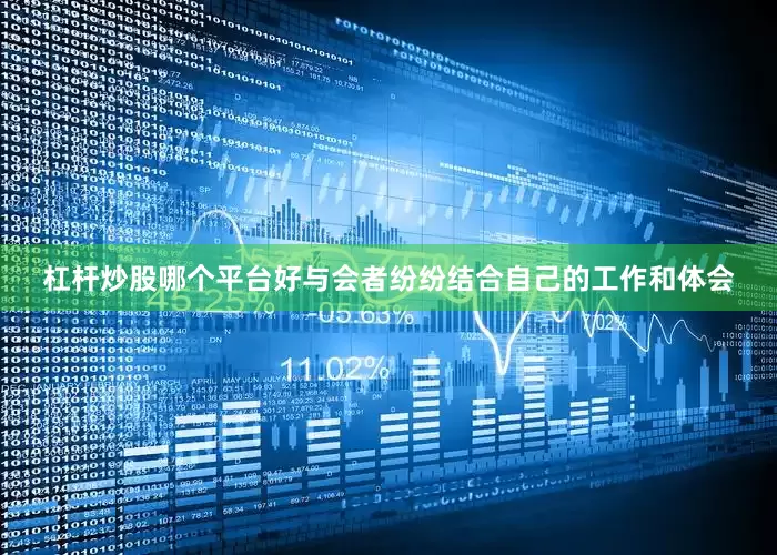 杠杆炒股哪个平台好与会者纷纷结合自己的工作和体会