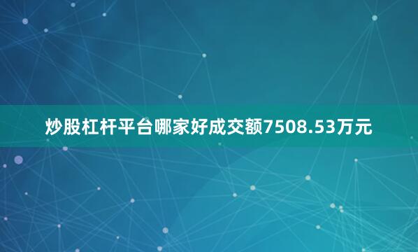 炒股杠杆平台哪家好成交额7508.53万元