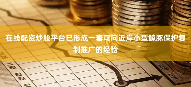 在线配资炒股平台已形成一套可向近岸小型鲸豚保护复制推广的经验
