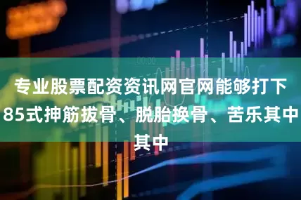 专业股票配资资讯网官网能够打下85式抻筋拔骨、脱胎换骨、苦乐其中